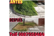 Jardinería en Quito 022428098 en Quito