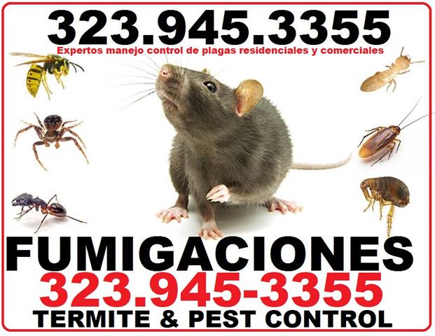 RODENT CONTROL (323)945-3355 image 8