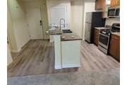 Pinto flooring