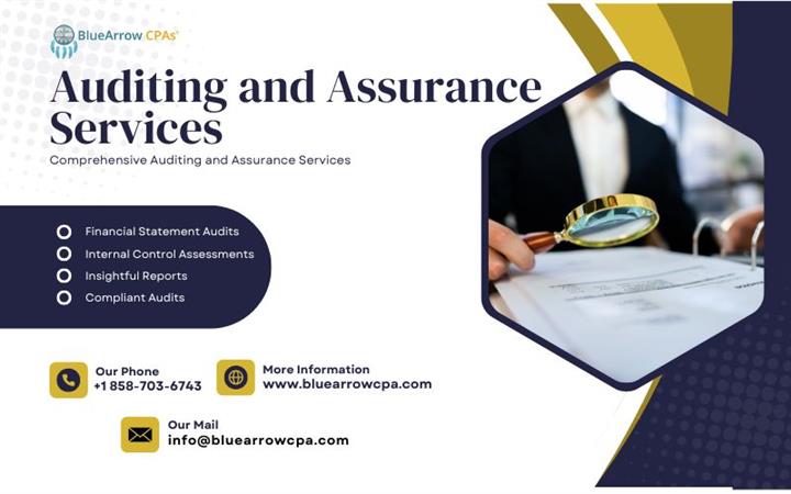 Auditing and Assurance Service image 1