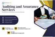 Auditing and Assurance Service en San Diego