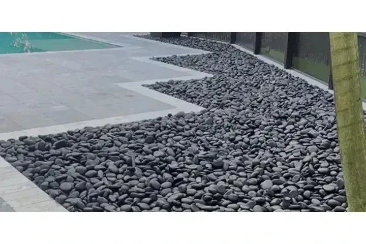 Basilio Landscaping Service image 5