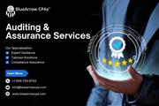 Auditing & assurance services en San Diego