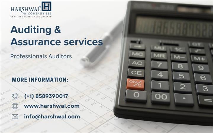 Auditing & Assurance Services image 1