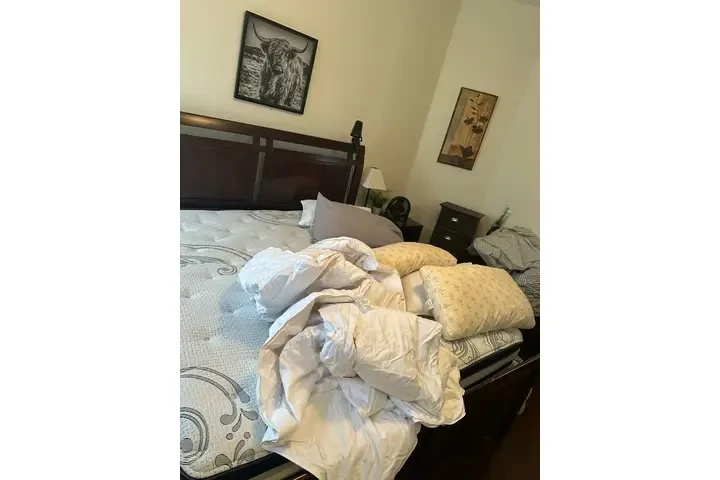 Limpieza Profesional Comercial image 5