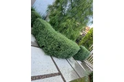 I offer my gardening services thumbnail