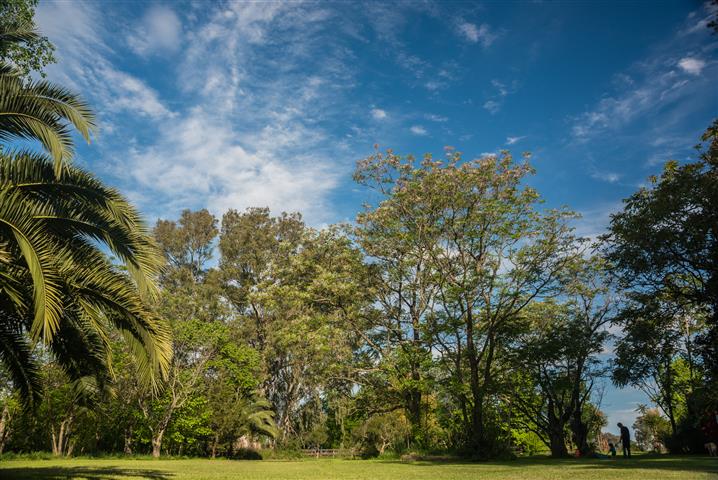 Estancia El Cencerro image 8