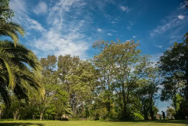 Estancia El Cencerro image 8