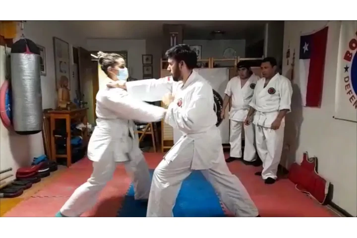 Boxeo y karate como defensa image 8