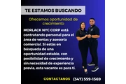Se Busca Asesores Queens NYC en New York