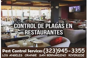 FUMIGADORES MAYWOOD 24/7 thumbnail