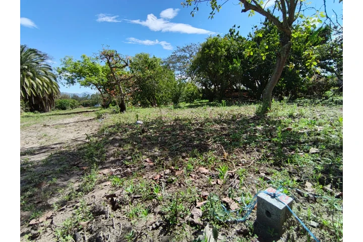$15 : Terrenos Económicos en YARUQUÍ image 3