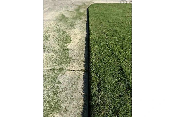 🌿 Lawn Care & Landscaping 🌿 image 6