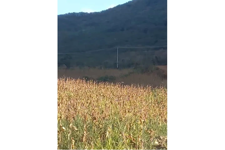 $65000 : VENDO BARATO En Vilcabamba Loj image 1