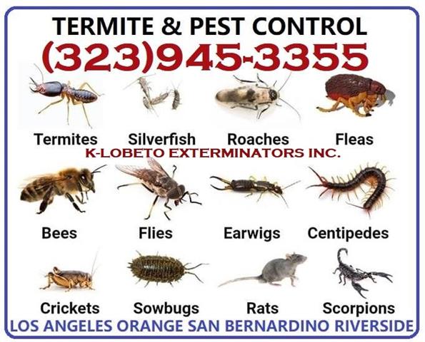 PEST CONTROL SERVICES NEAR ME. image 7