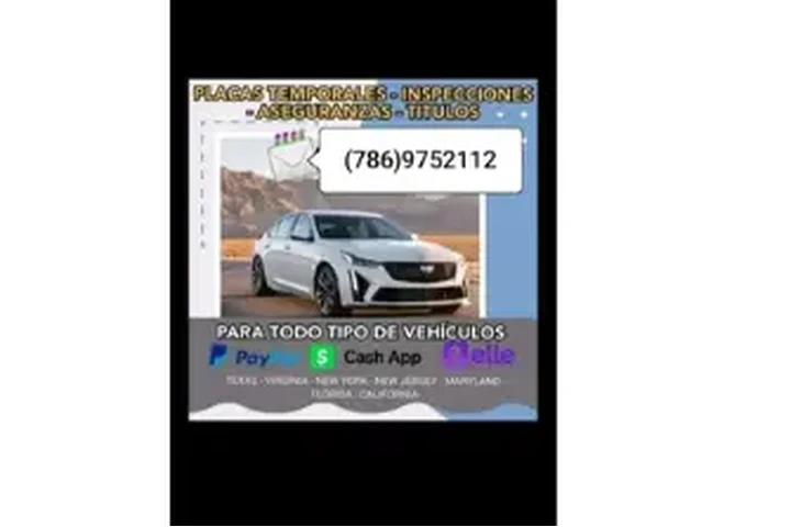 Tags and insurance image 2