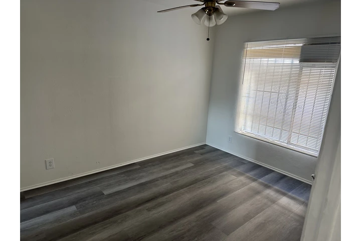 $1600 : One Bedroom Apartment image 3