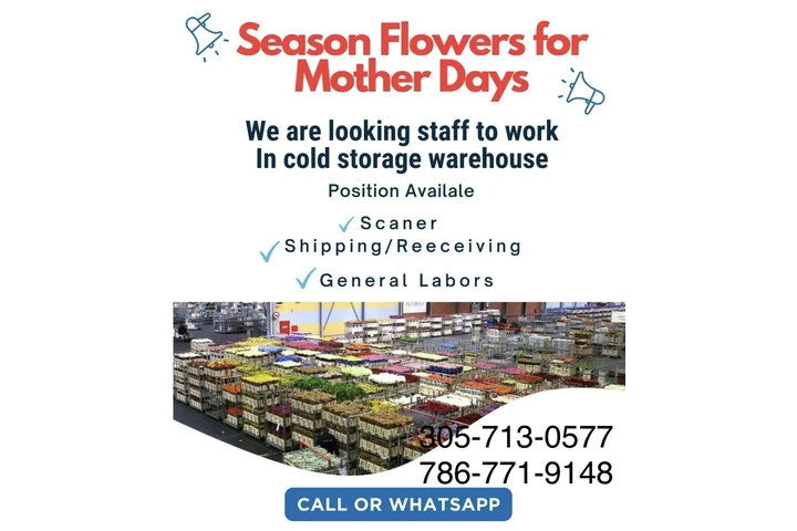 Season flowers image 1