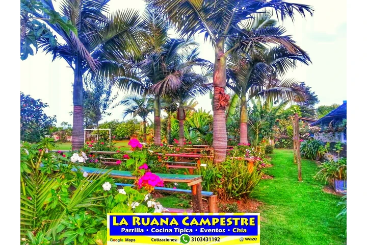 Eventos Despedidas Fin de Año image 1