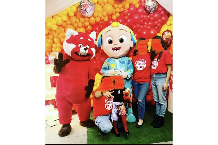 Animadores p shows infantiles image 5