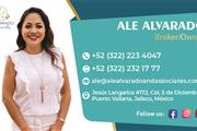 Ale Alvarado and Associates thumbnail 3