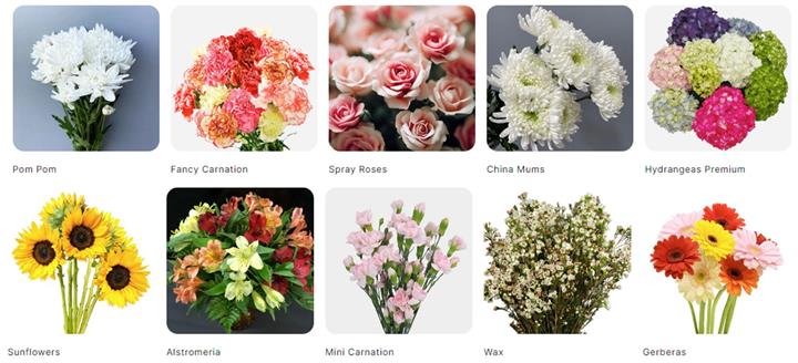 United Flower Wholesale image 3