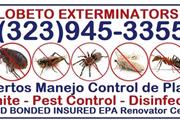 Pest Exterminator 24/7 all L.A thumbnail