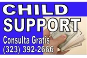 █►📌CUSTODIA Y VISITAS A HIJOS thumbnail