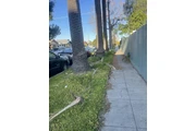 Dylan,s gardening services thumbnail