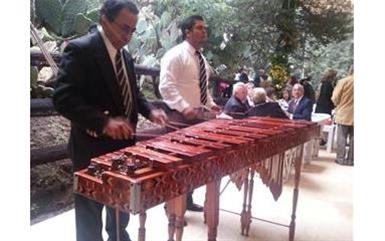 Marimba en México image 3