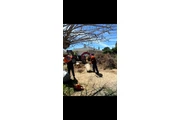 Tomateros Lasdscaping thumbnail