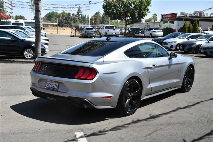 $25998 : Mustang EcoBoost Coupe 2D image 8