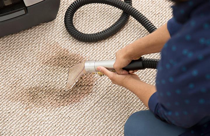 Limpieza de alfombra y sofá image 3