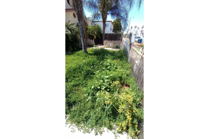 Jardinero $35🍀🌿💳📱 image 5