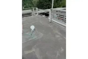 ⭐⭐⭐ESCALERAS, DECKS, ETC🏡 en Los Angeles