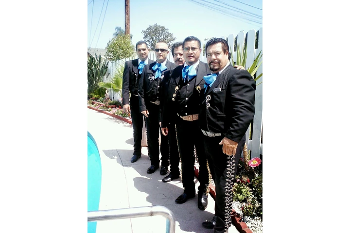 Mariachi Los Gallitos For Hire image 1