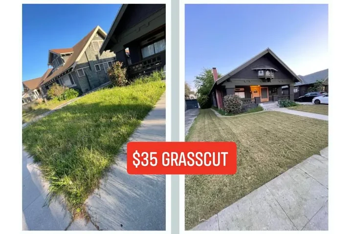 Jardinero 🏡 limpieza image 5