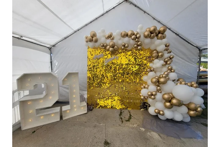 Carpas decoradas arcosdeglobos image 1