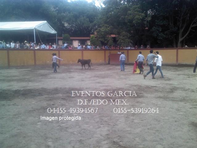 Charlotada Vacas bravas Torogo image 4