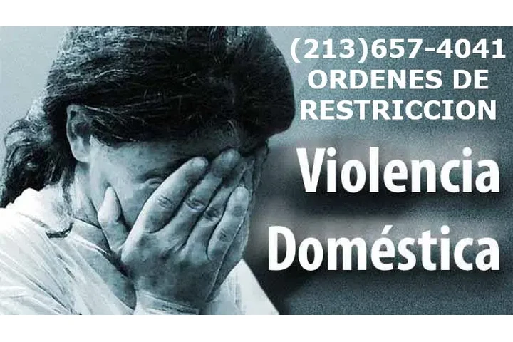 CASOS DE VIOLENCIA DOMESTICA image 1