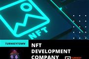 NFT Development Solutions en Anchorage