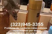 EXTERMINADORES - PEST CONTROL thumbnail