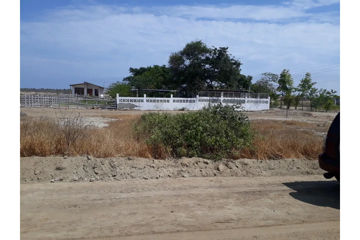 $14500 : VENDO SOLAR EN URBANIZACÓN TAO image 4