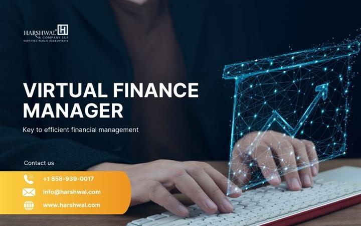 Virtual finance manager image 1