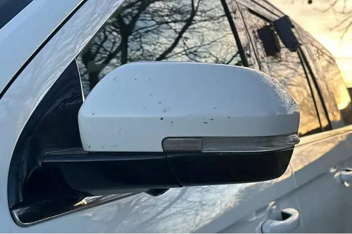 $35995 : Ford Expedition 2021 4x4 XLT image 7