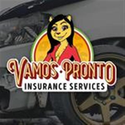 Vamos Pronto Insurance Service image 1