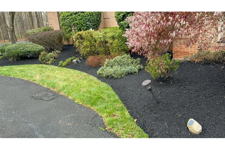 🌲LANDSCAPING SERVICES🌲 image 5