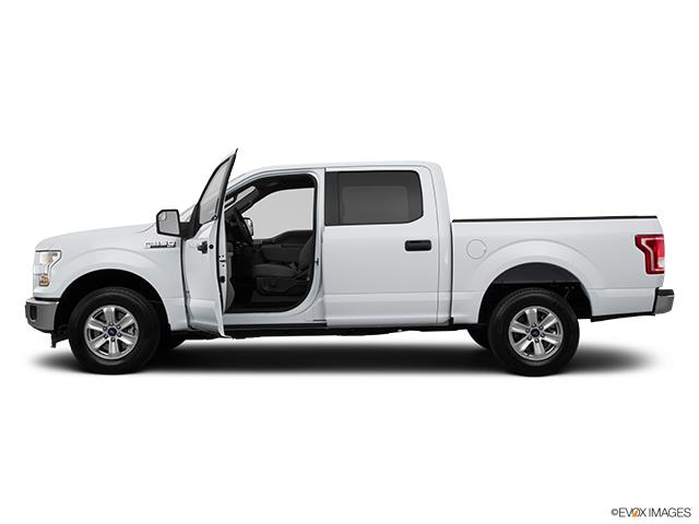 2015 F150 image 1