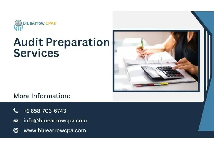 Audit Preparation Services BAI image 1