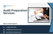 Audit Preparation Services BAI